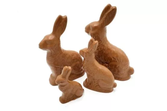 Sitting Bunnies